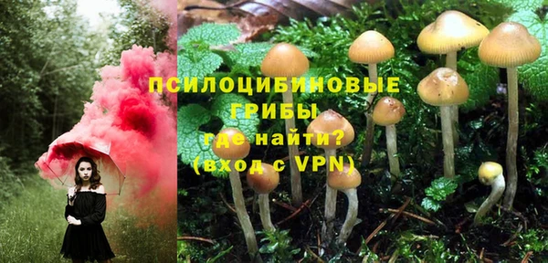 соль ск Липки
